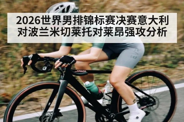 2026世界男排锦标赛决赛意大利对波兰米切莱托对莱昂强攻分析